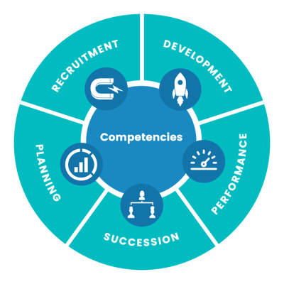 talent-lifecycle-teal
