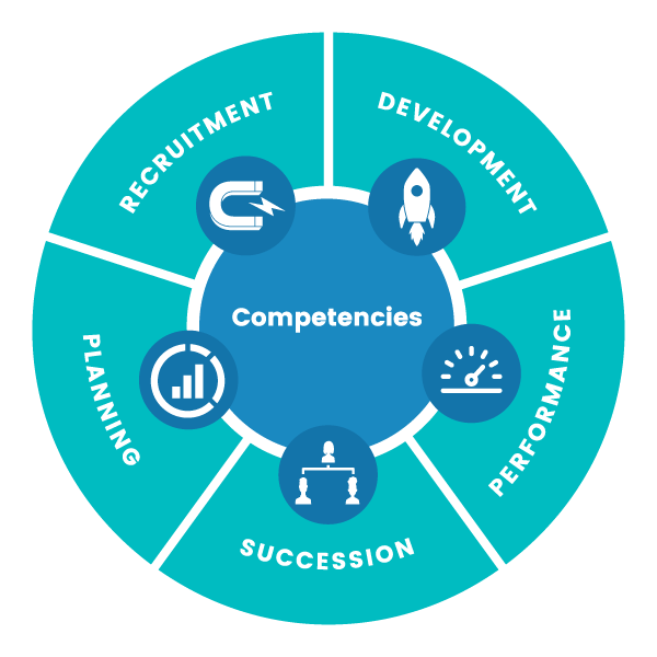talent-lifecycle-teal
