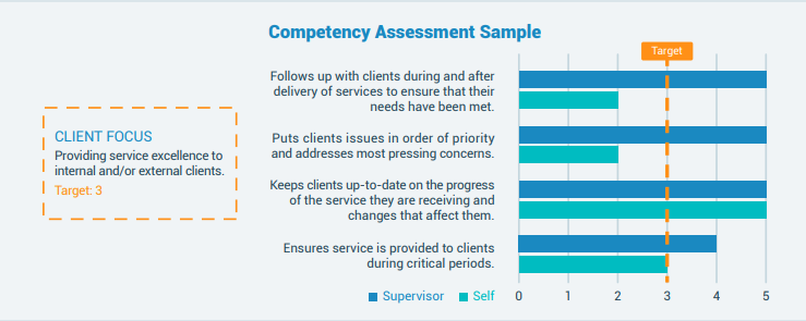 competency based assessment sample